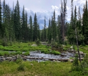 2019 Montana Folder15 023